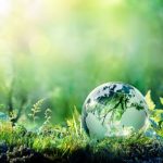 Why-ISO-standards-are-crucial-for-organic-and-natural-transparency-CFTAS-president_wrbm_large