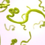 ebola_first_vaccine