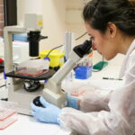 L’Institut Pasteur de Lille sur la piste de suppositoires contre le Covid