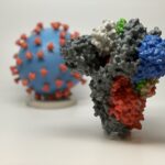 Promising Interim Results from Clinical Trial of NIH-Moderna COVID-19 Vaccine