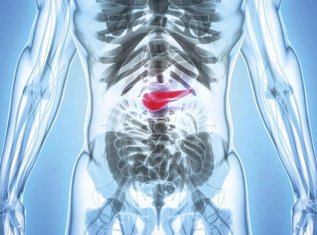 UK - Artificial pancreas technology set to change lives - RIS.WORLD